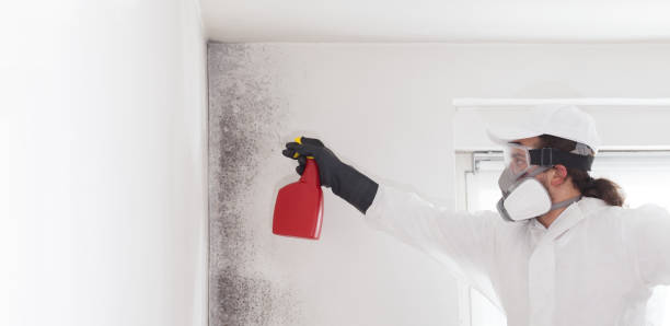 Crawl Space Mold Removal in Paden City, WV